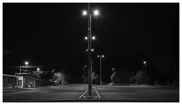 Solitary Watcher