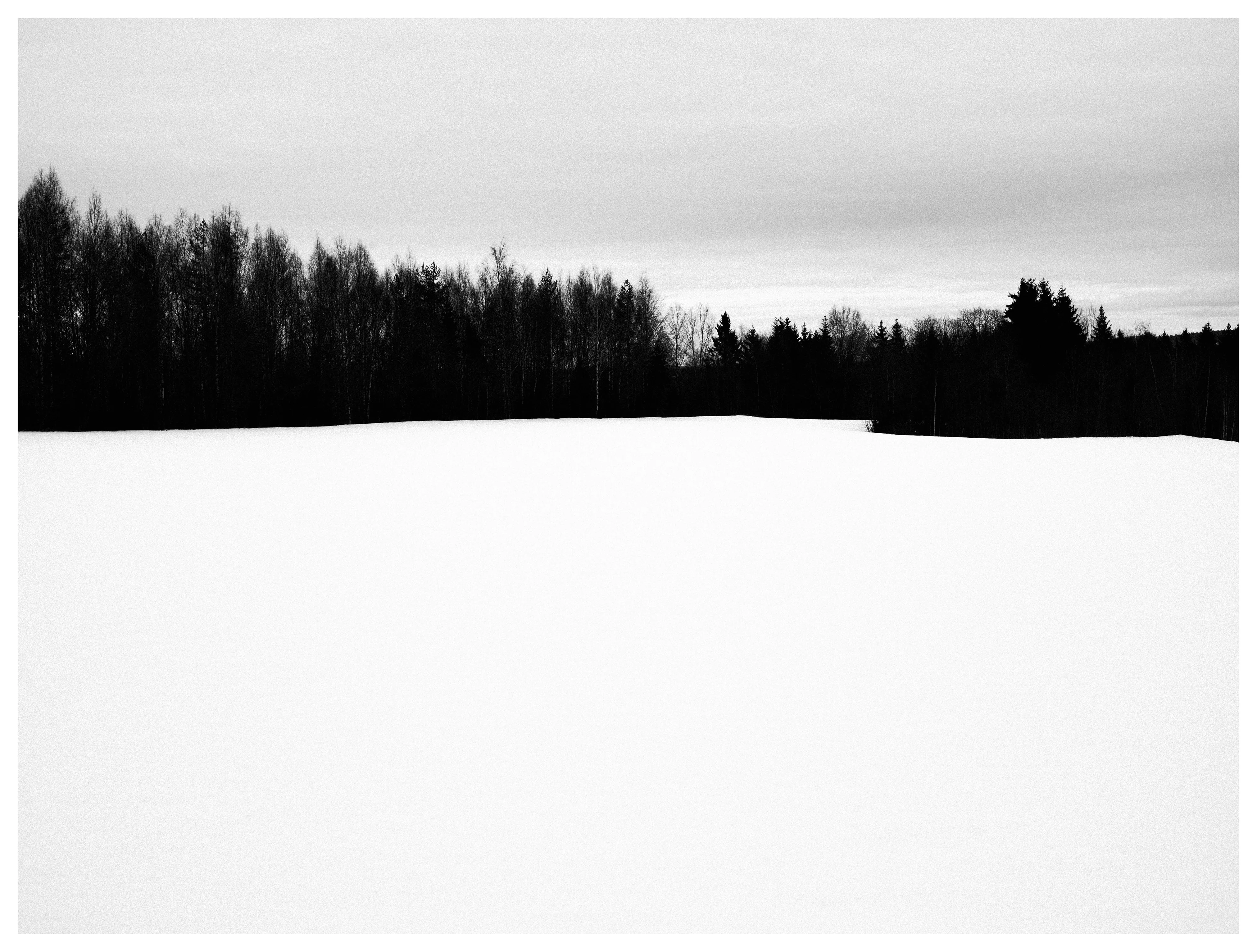 Black and white winter landscape with a flat snow-covered field and a dark tree line under a grey sky, minimal composition with a subtle bend in the horizon.