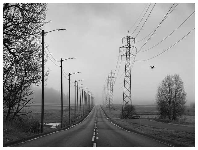 Black and white photo of a rural road with power lines fading into fog, a distant car on the road, and a bird carrying a twig flying overhead.