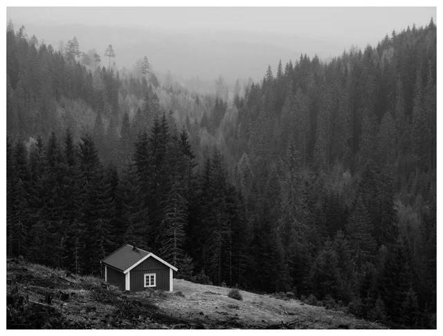 Small cabin at the edge of a forest clearing beneath mist-covered hills, surrounded by dense evergreen trees in a muted black-and-white landscape.