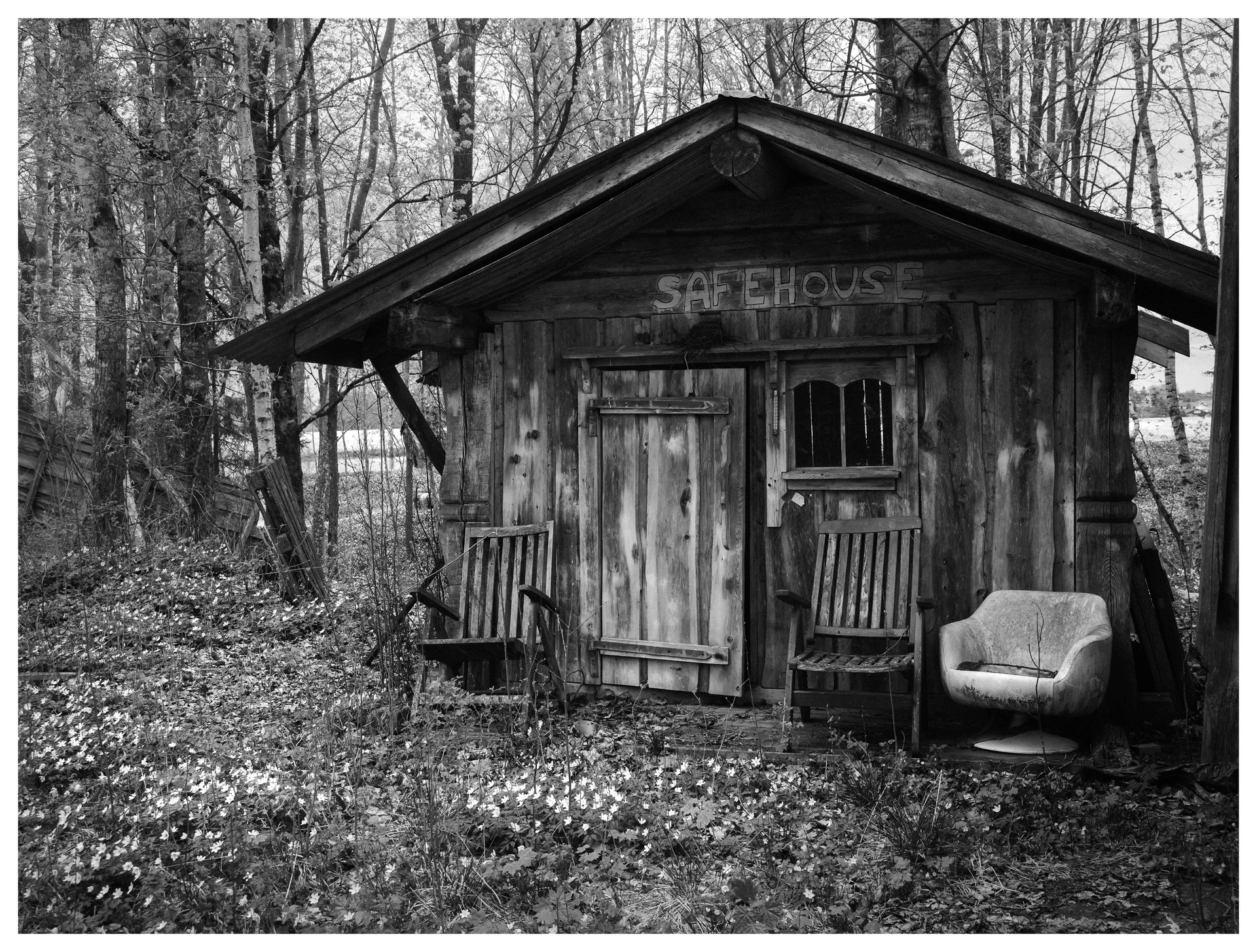 Old wooden cabin labeled Safehouse with empty chairs outside, surrounded by forest and ground covered in small white flowers.