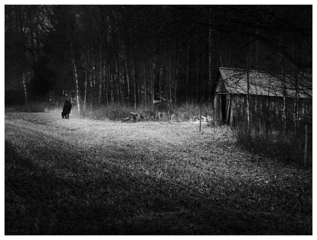 Moody black and white photograph of a solitary figure walking along a rural path beside an old wooden shed at the edge of a dark forest.
