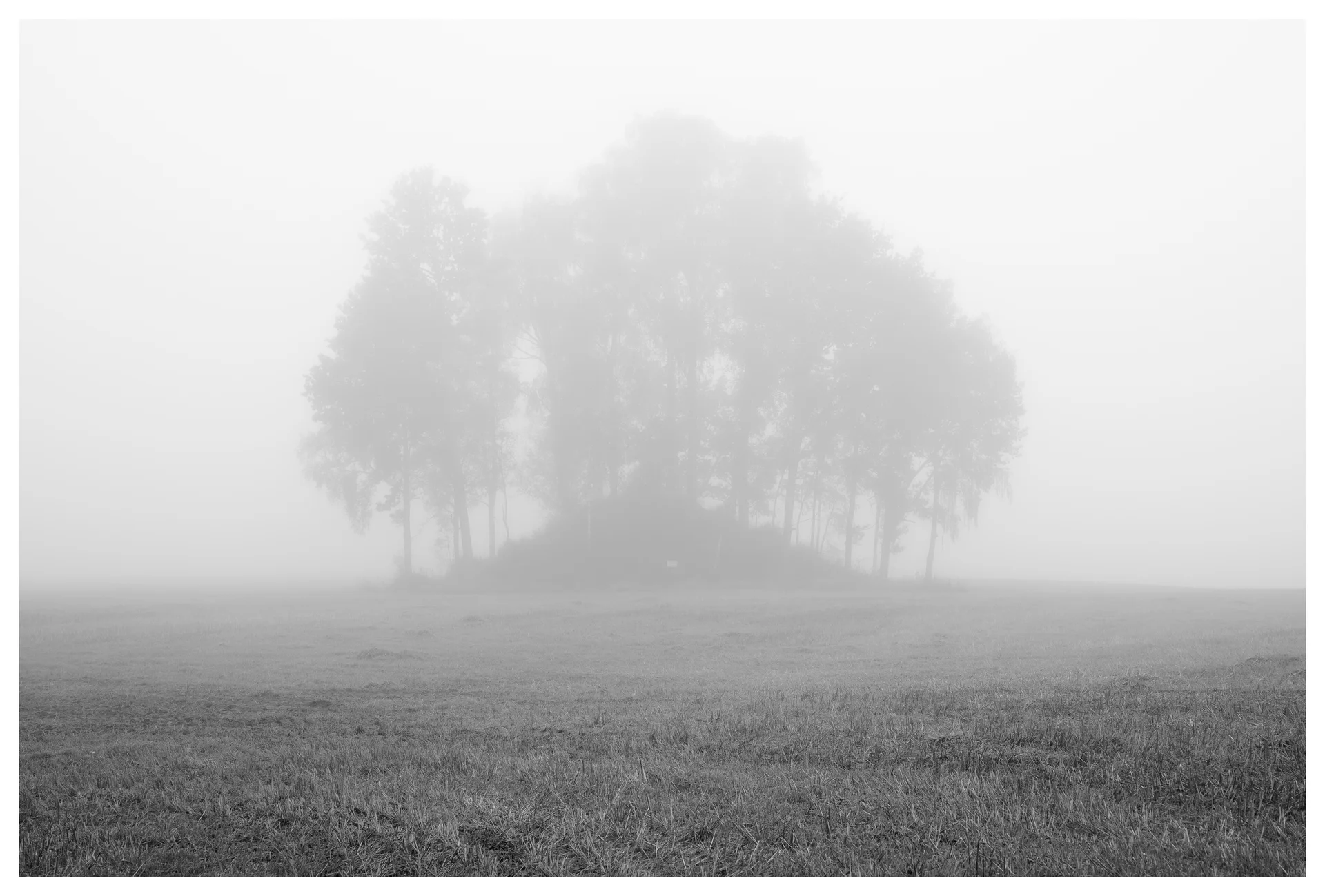 Foggy morning view of the Brotnu burial mound at Kløfta, with a cluster of trees faintly visible through dense mist over an open field.