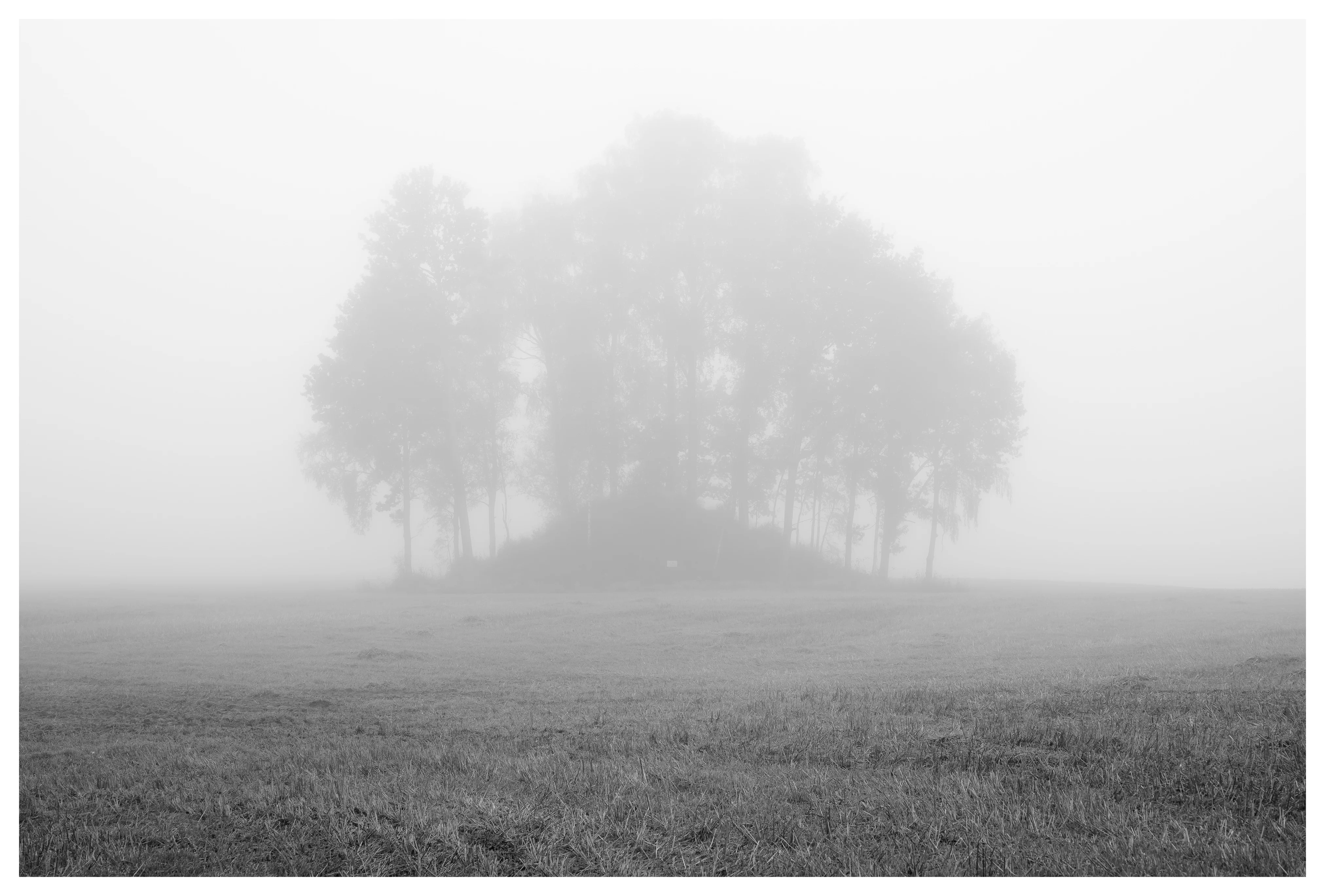 Foggy morning view of the Brotnu burial mound at Kløfta, with a cluster of trees faintly visible through dense mist over an open field.