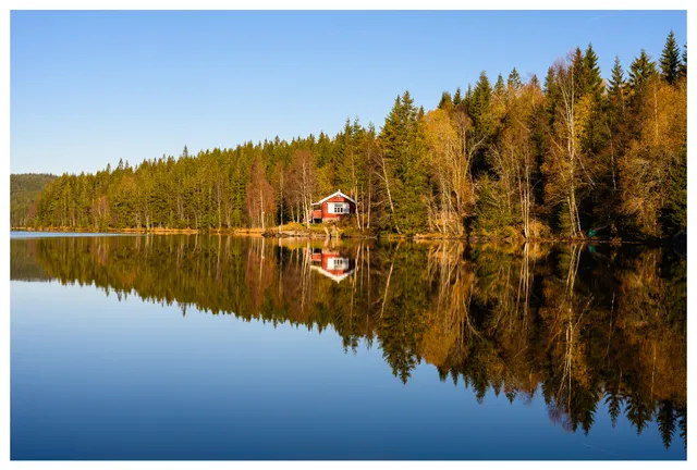 Ørfiske #1