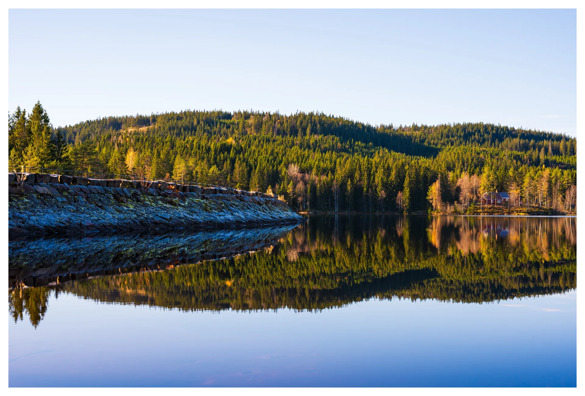 Ørfiske #2