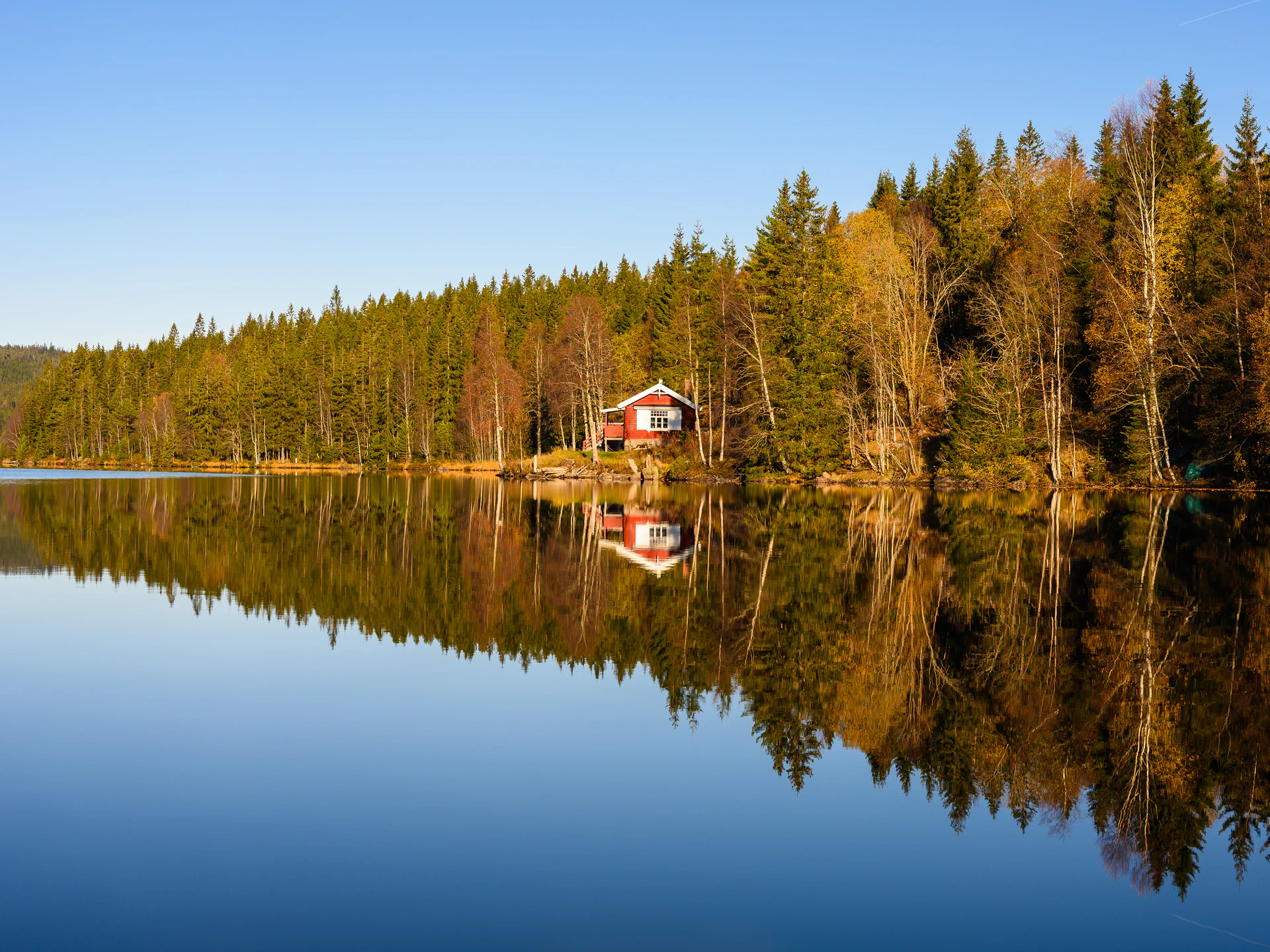 Forest reflections at Ørfiske lake in Nordmarka, Norway, with calm water, autumn trees, and a small lakeside cabin.