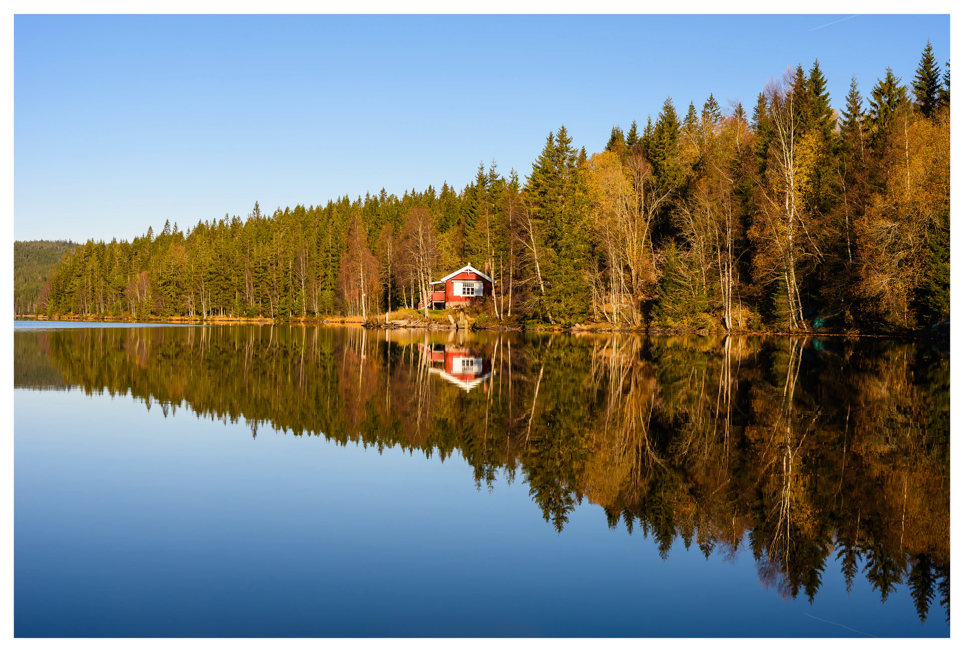 Autumn forest and a red lakeside cabin reflected in calm water at Ørfiske lake in Nordmarka, Norway