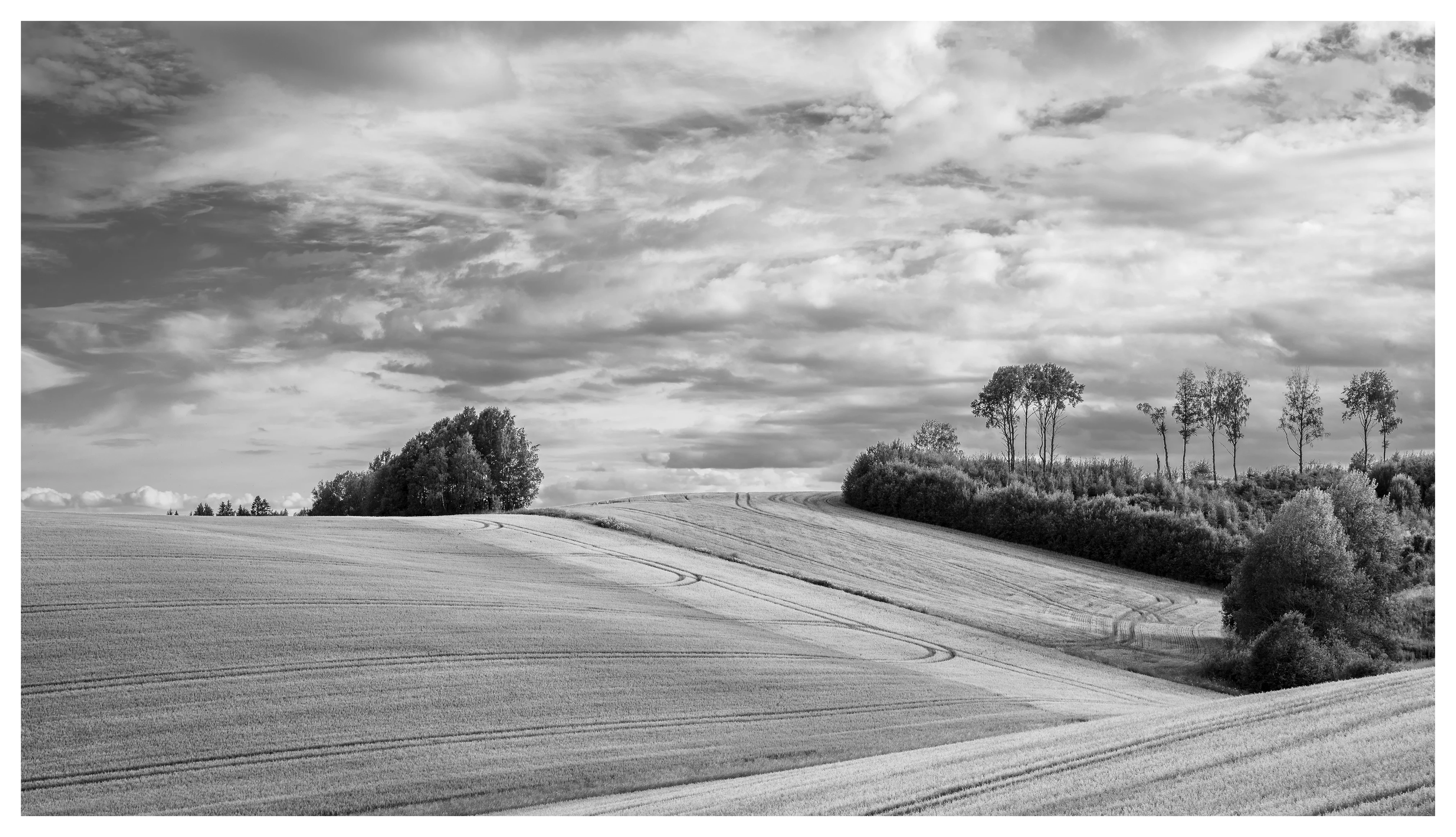 Rolling fields under a dramatic sky