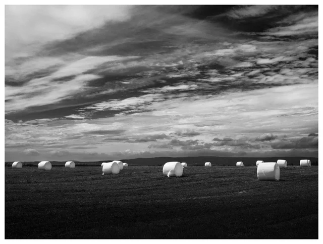 Black and white photograph of wrapped hay bales scattered across a field beneath a dramatic cloud-filled sky.