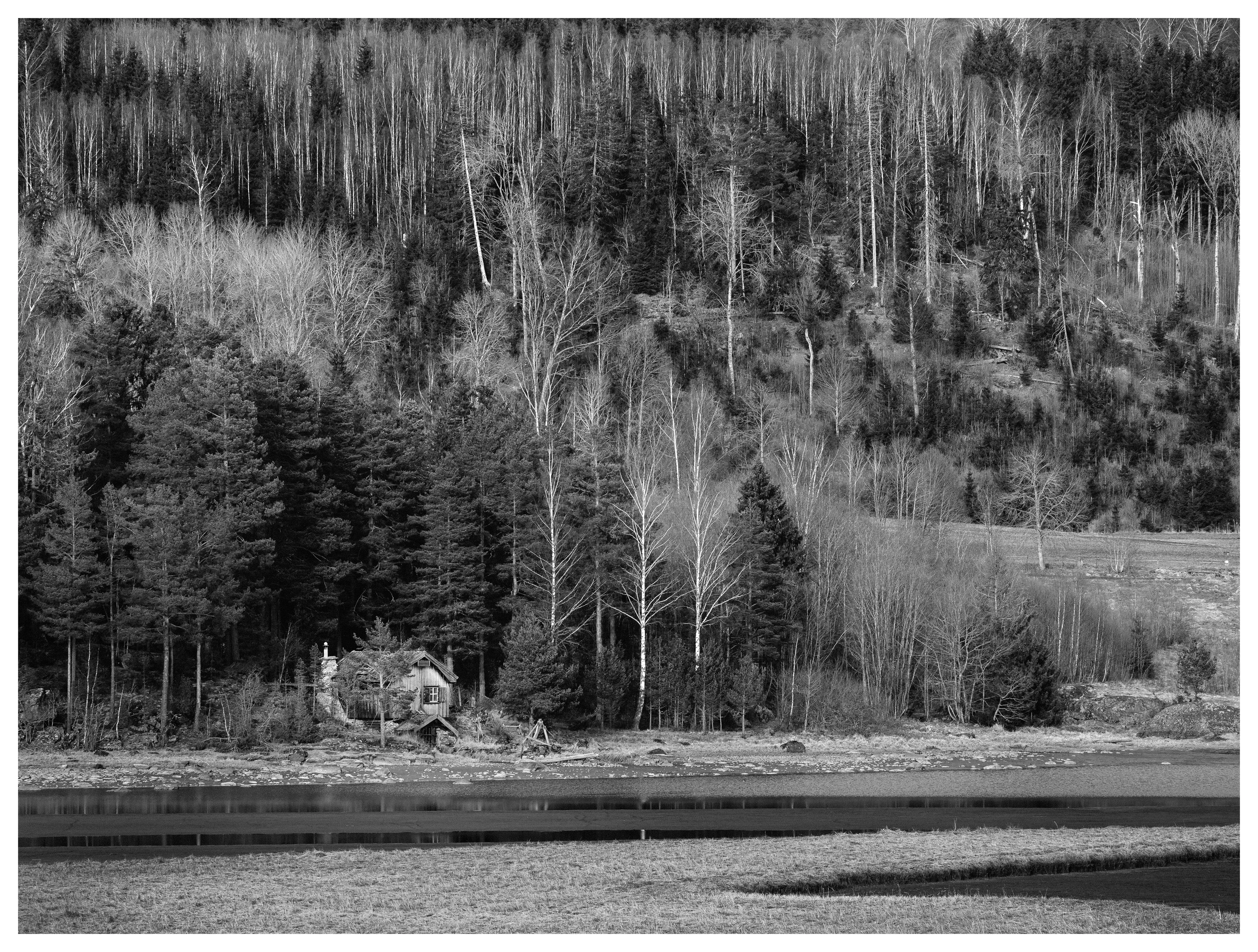 Black-and-white landscape photograph of a small secluded cabin beside a river, nestled among tall pine and birch trees beneath a dense forest hillside.