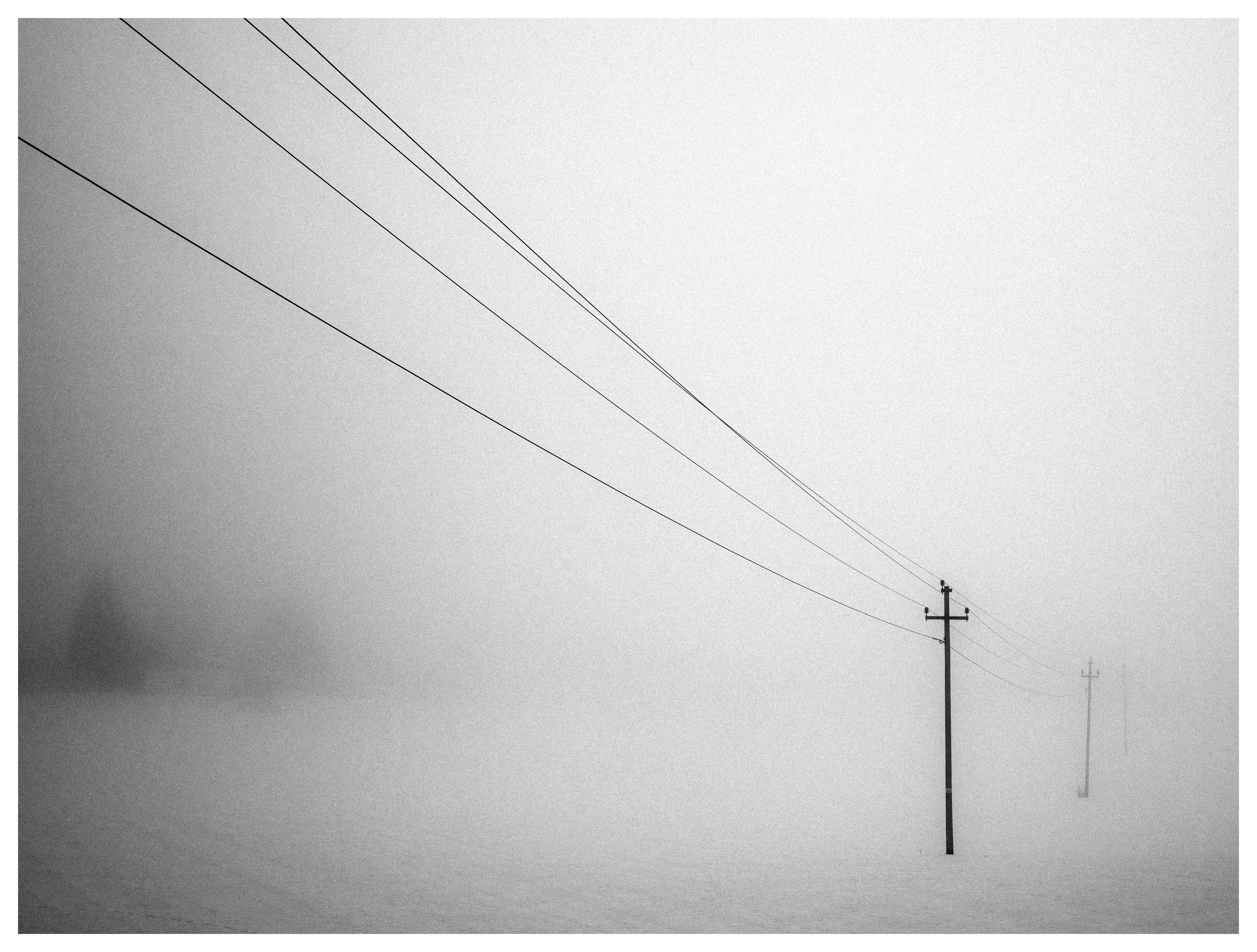 Black and white minimalist winter scene of power poles and overhead lines fading into thick fog over a snow-covered landscape.