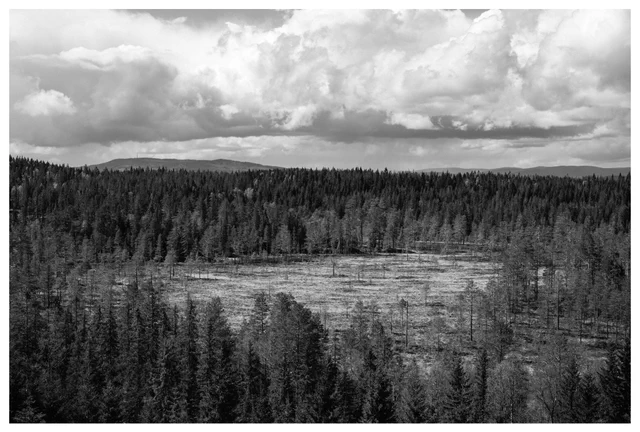 Black-and-white landscape of a forest clearing surrounded by dense trees beneath dramatic storm clouds in the Norwegian countryside.