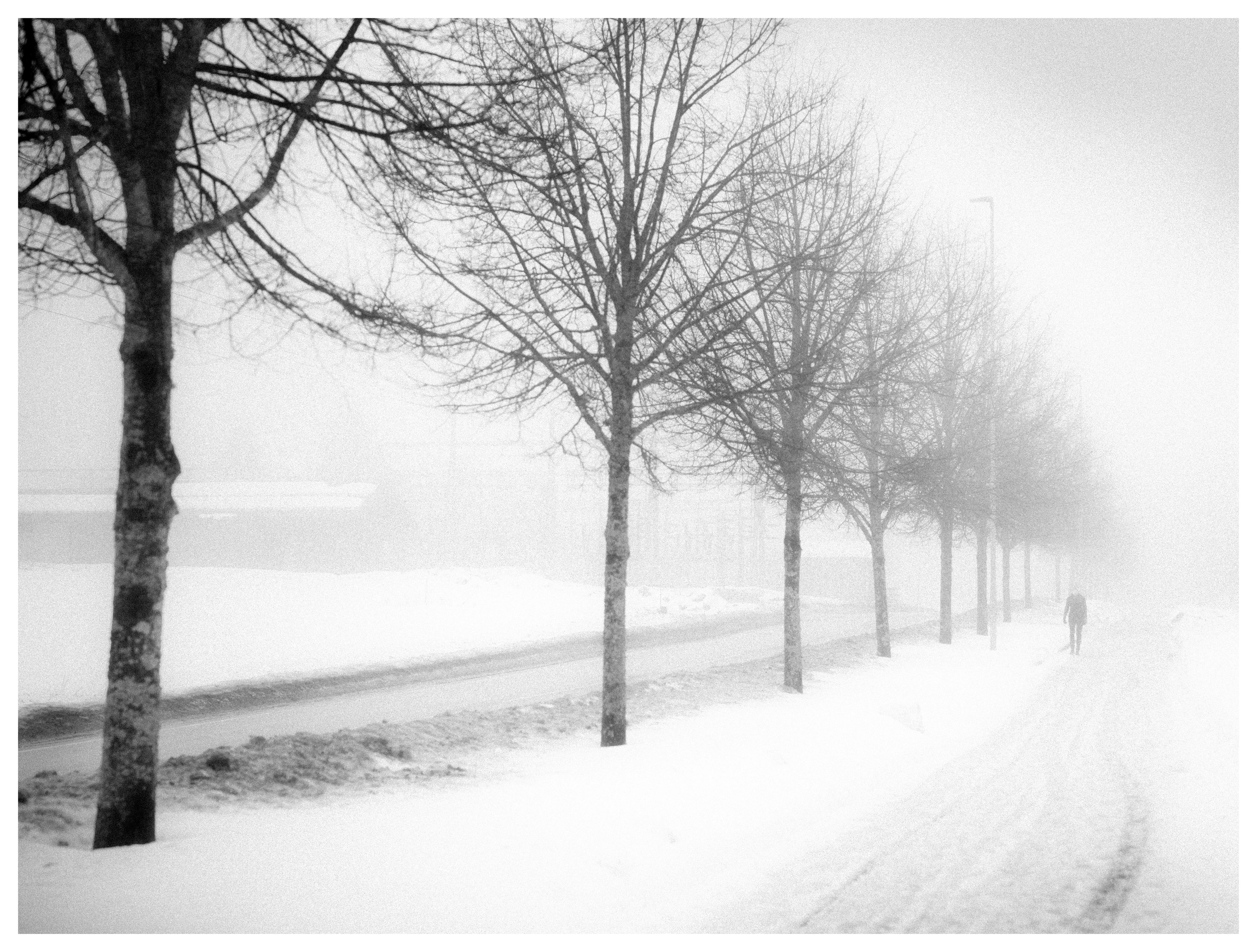 Black and white winter photograph of a lone person walking along a snow-covered path lined with bare trees disappearing into heavy fog.