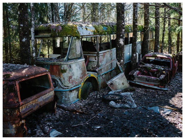 Abandoned moss-covered bus at Båstnäs Car Graveyard in Sweden surrounded by rusting vintage cars in forest