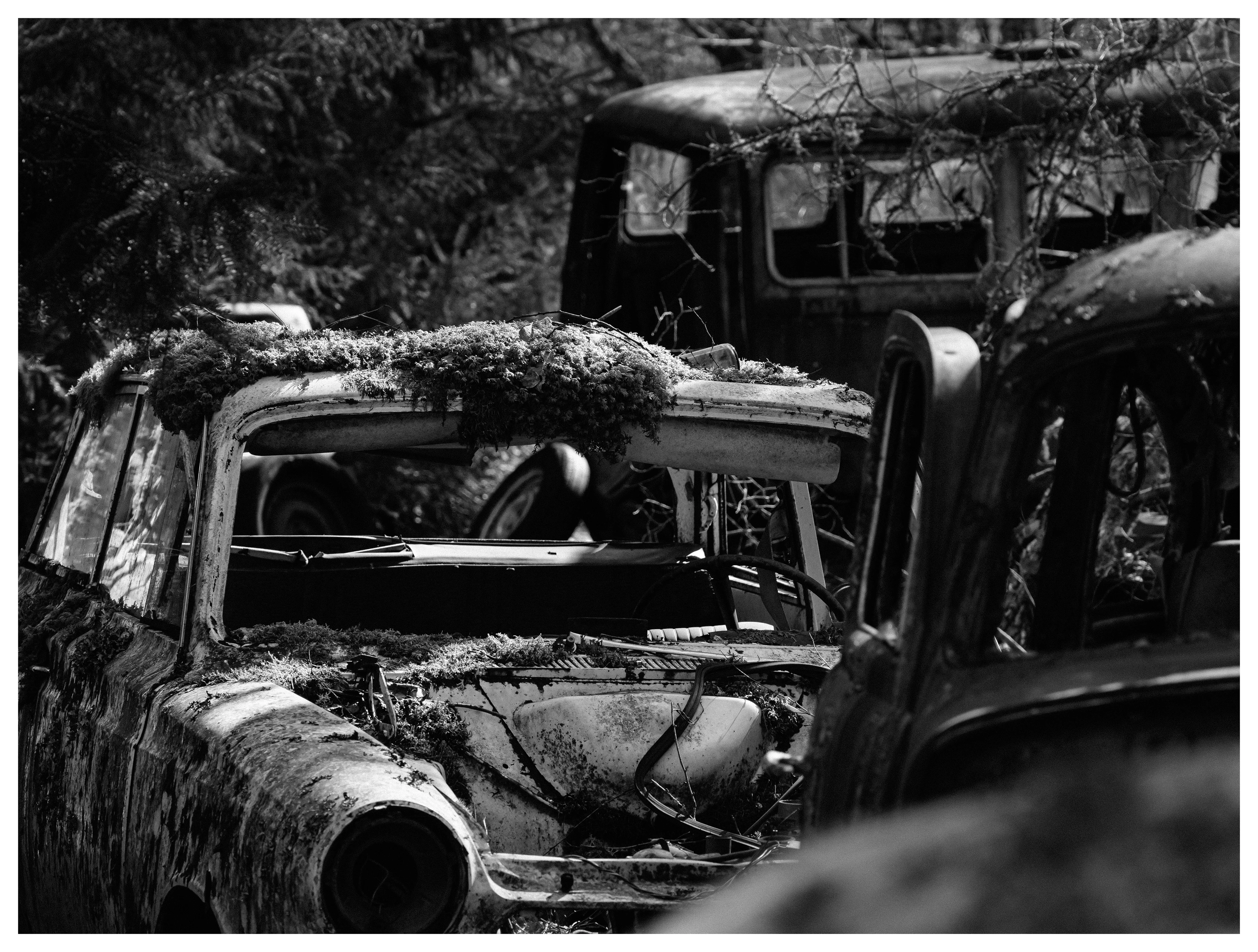 Black and white photo of abandoned vintage car with moss-covered roof in forest at Båstnäs Car Graveyard Sweden