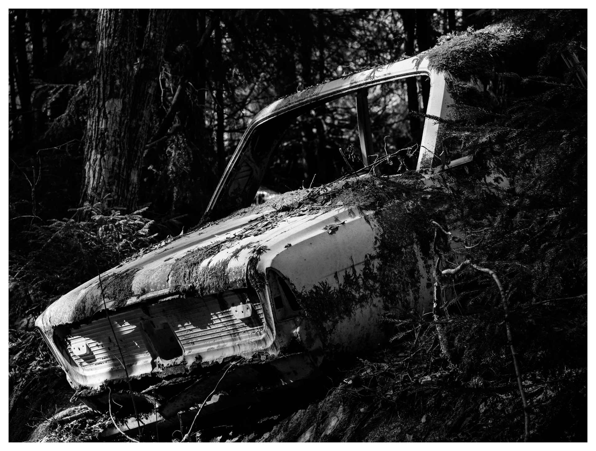 Black and white image of abandoned vintage car partially hidden in forest shadows at Båstnäs Car Graveyard Sweden