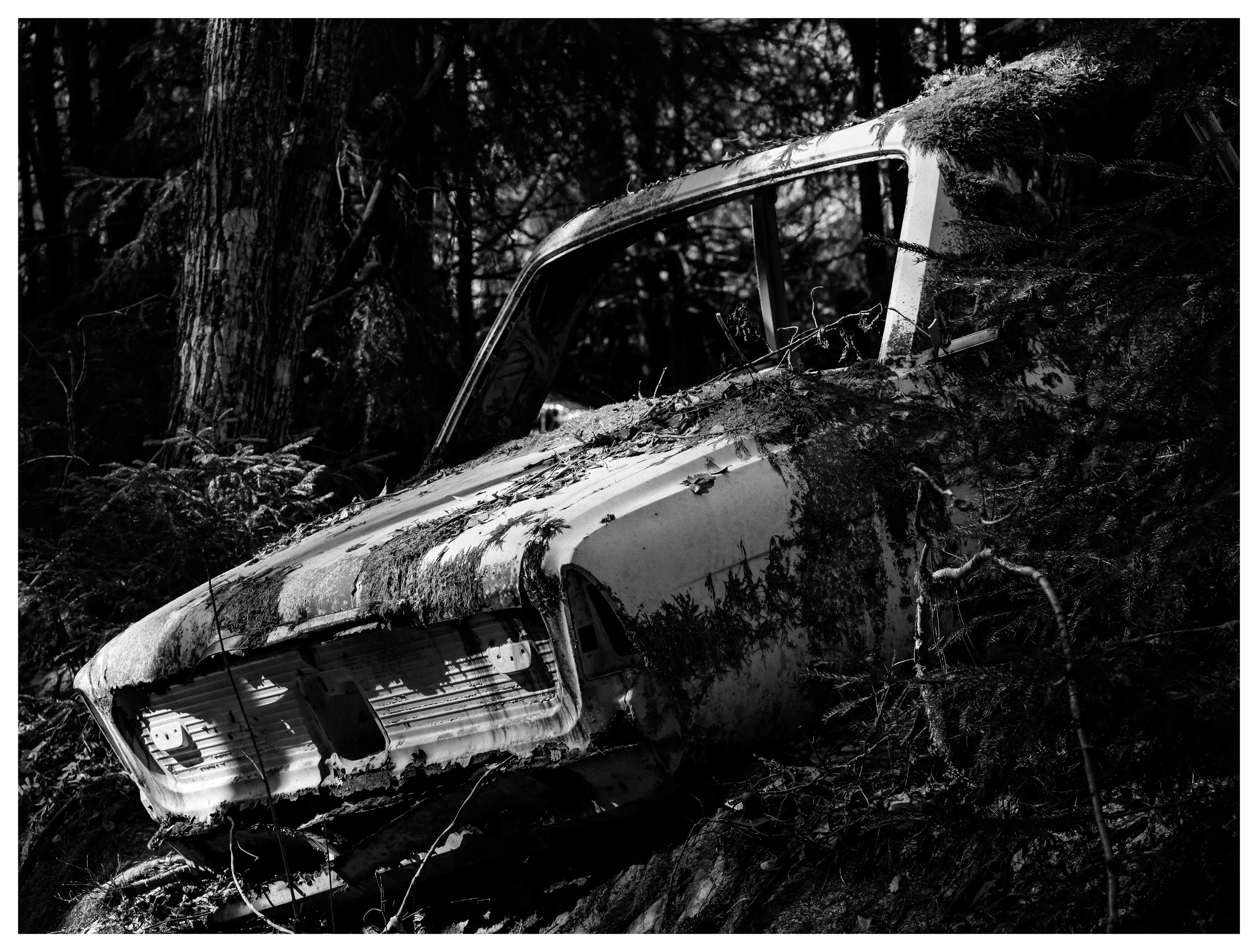 Black and white image of abandoned vintage car partially hidden in forest shadows at Båstnäs Car Graveyard Sweden