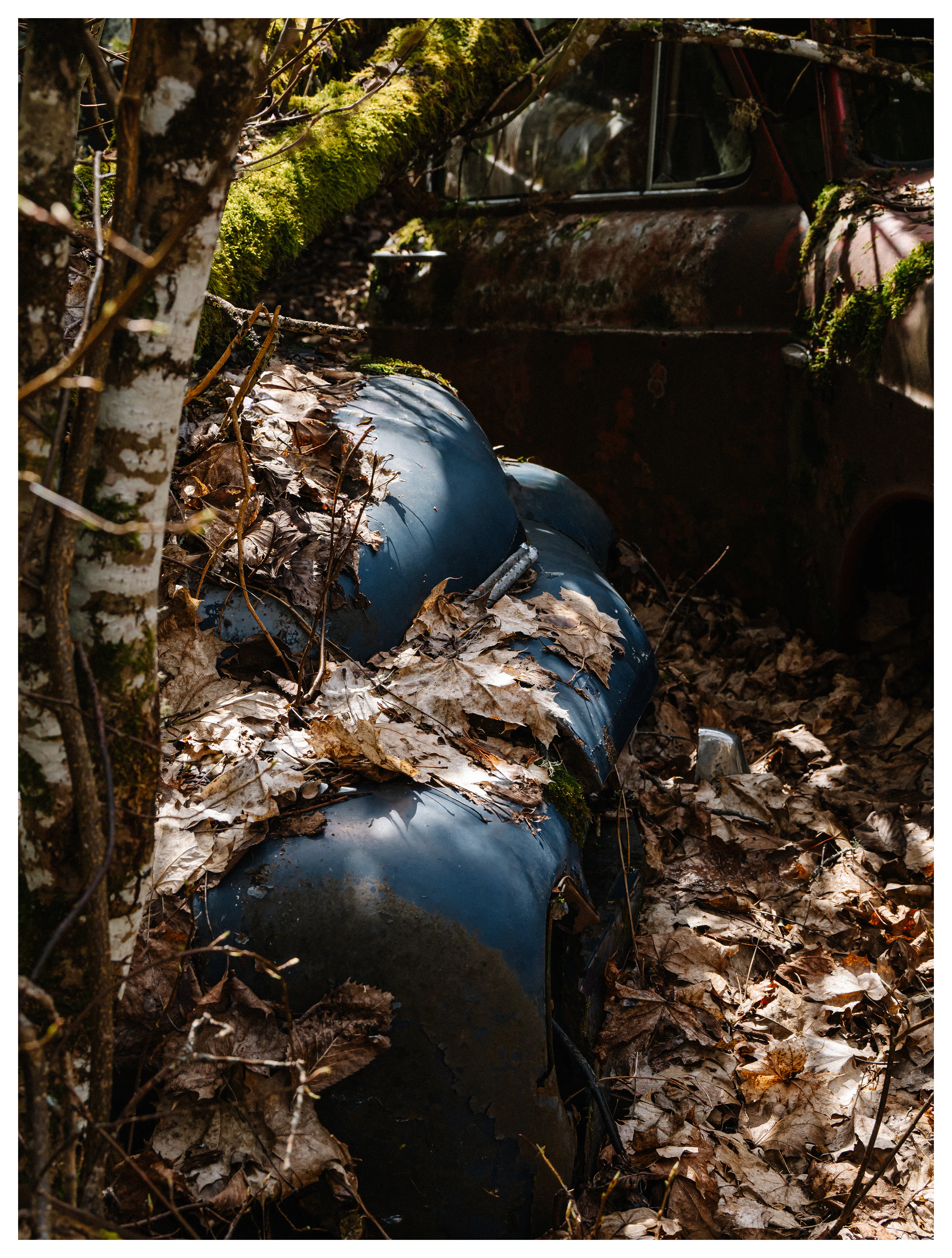 Close-up of abandoned car detail with moss and fallen leaves at Båstnäs Car Graveyard in Sweden