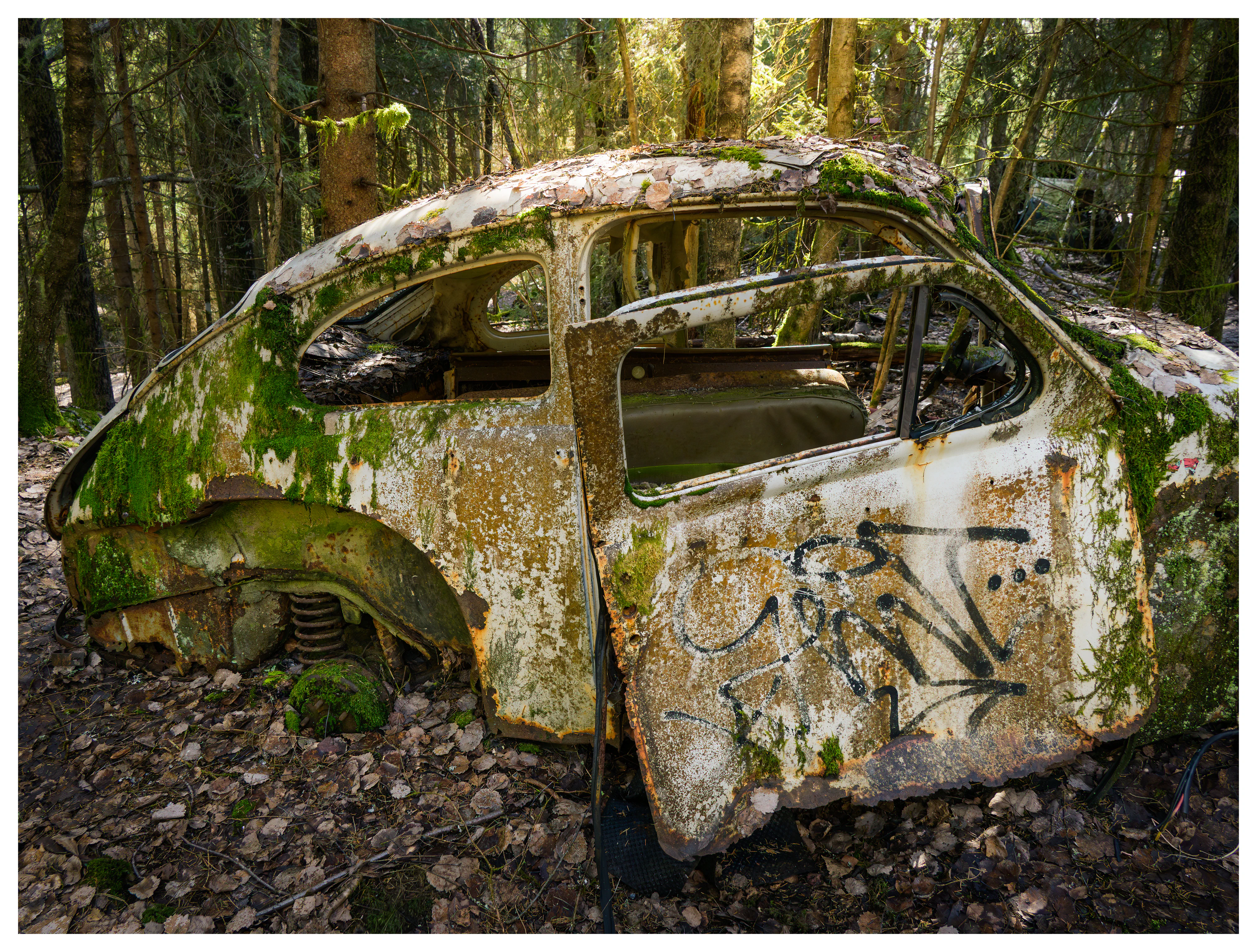 Abandoned vintage car covered in moss and graffiti in forest at Båstnäs Car Graveyard Sweden