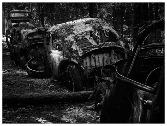 Black and white image of multiple abandoned vintage cars lined up in forest at Båstnäs Car Graveyard Sweden
