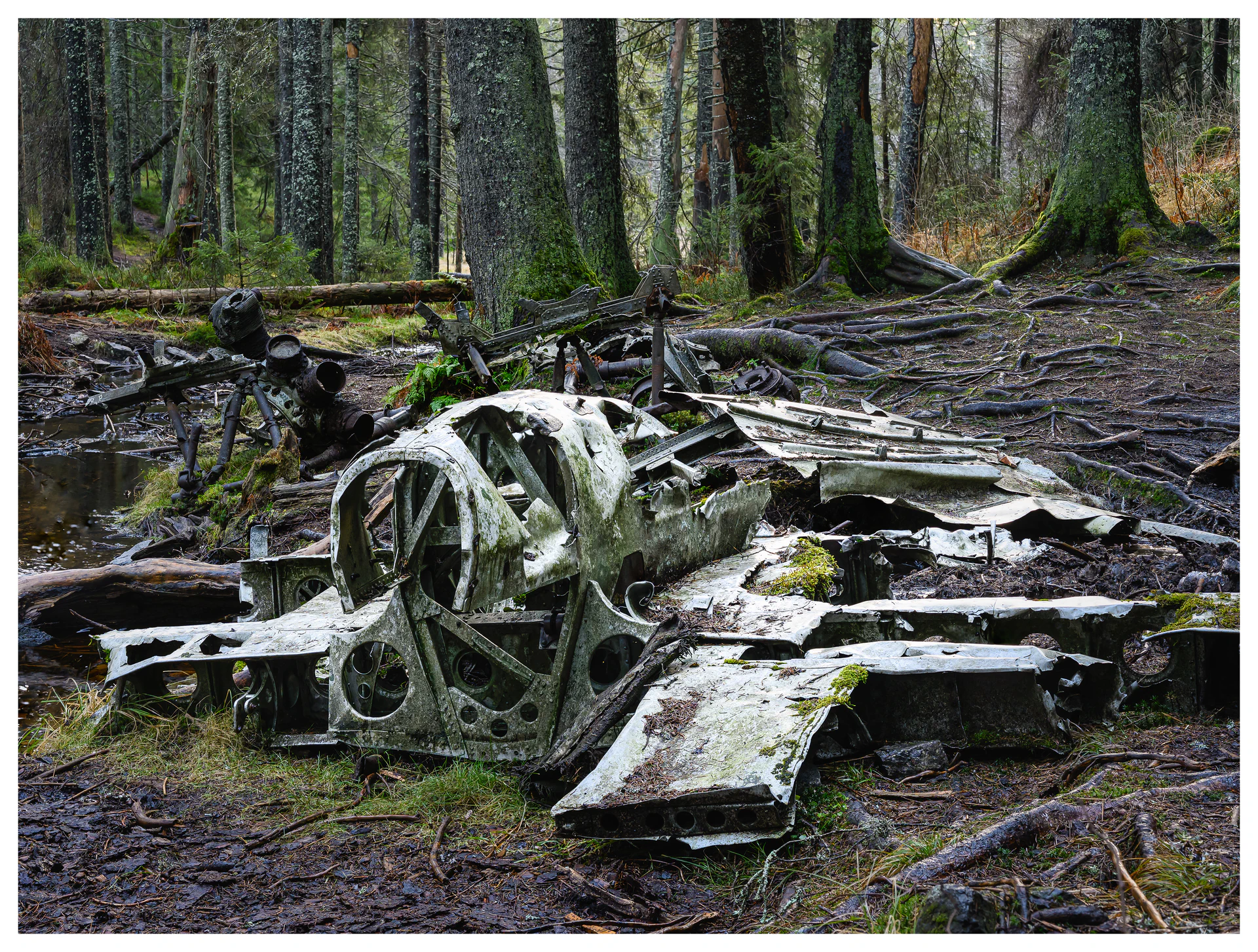 The forest site of the 1942 Dornier Do-17 crash at Hansakollen in Maridalen, showing scattered airplane wreckage lying among moss, roots, and still water.