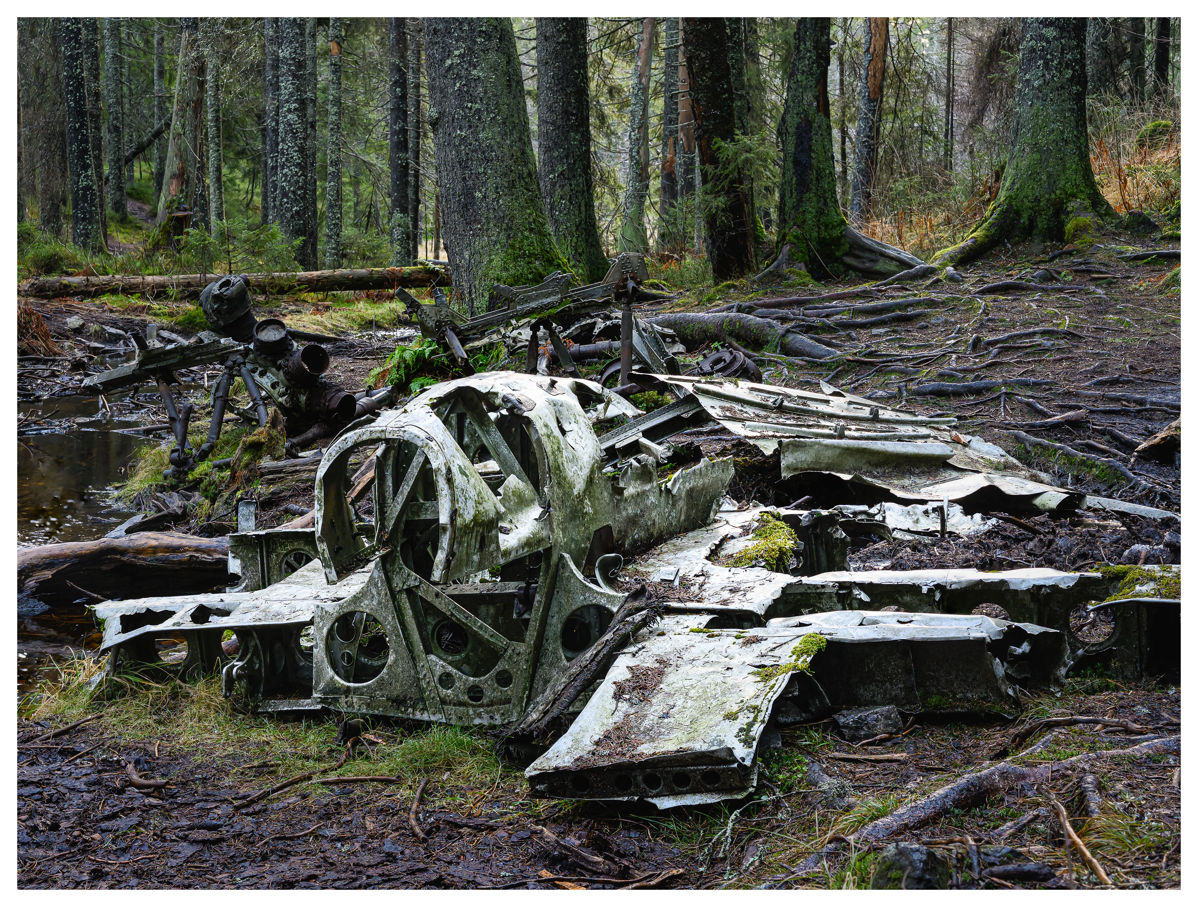 The forest site of the 1942 Dornier Do-17 crash at Hansakollen in Maridalen, showing scattered airplane wreckage lying among moss, roots, and still water.