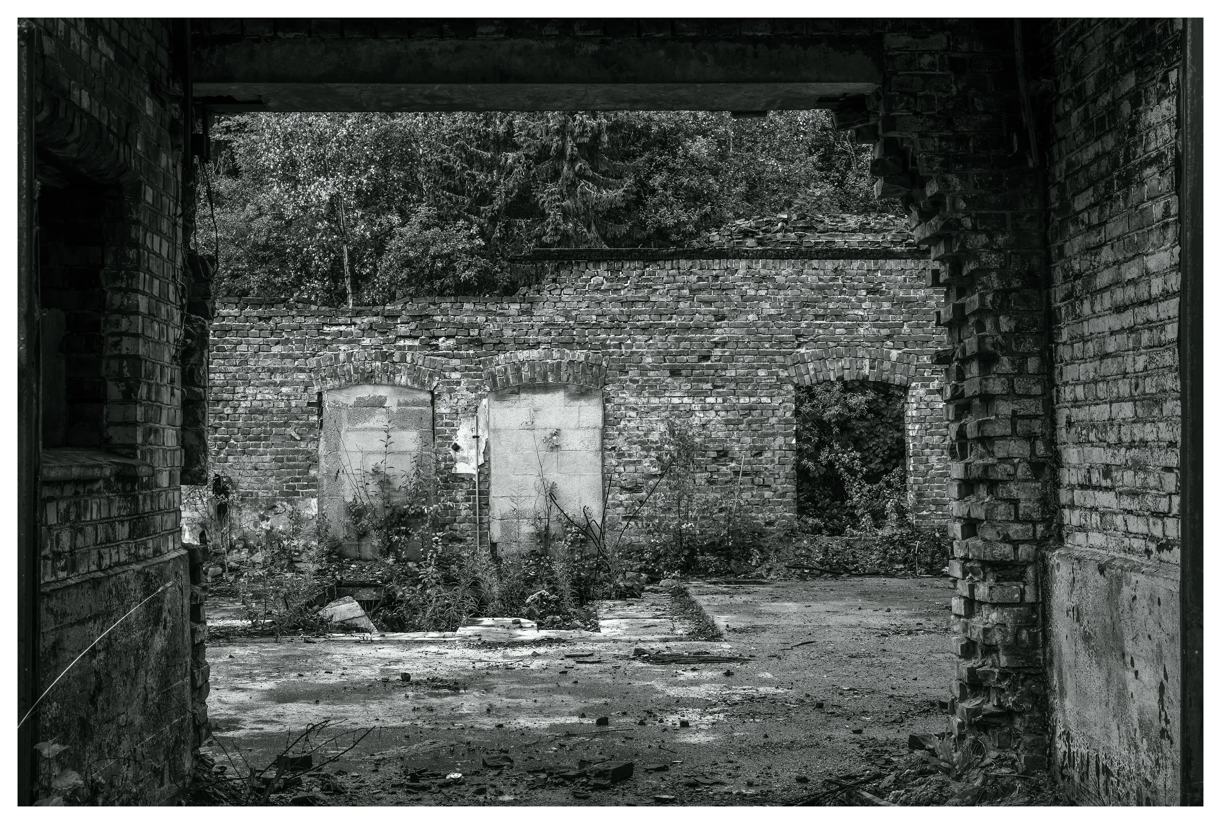 View through a broken brick doorway inside the abandoned Mago C power plant in Eidsvoll, showing a decayed interior wall with sealed windows, overgrown plants, and scattered rubble.