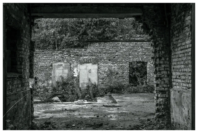 View through a broken brick doorway inside the abandoned Mago C power plant in Eidsvoll, showing a decayed interior wall with sealed windows, overgrown plants, and scattered rubble.