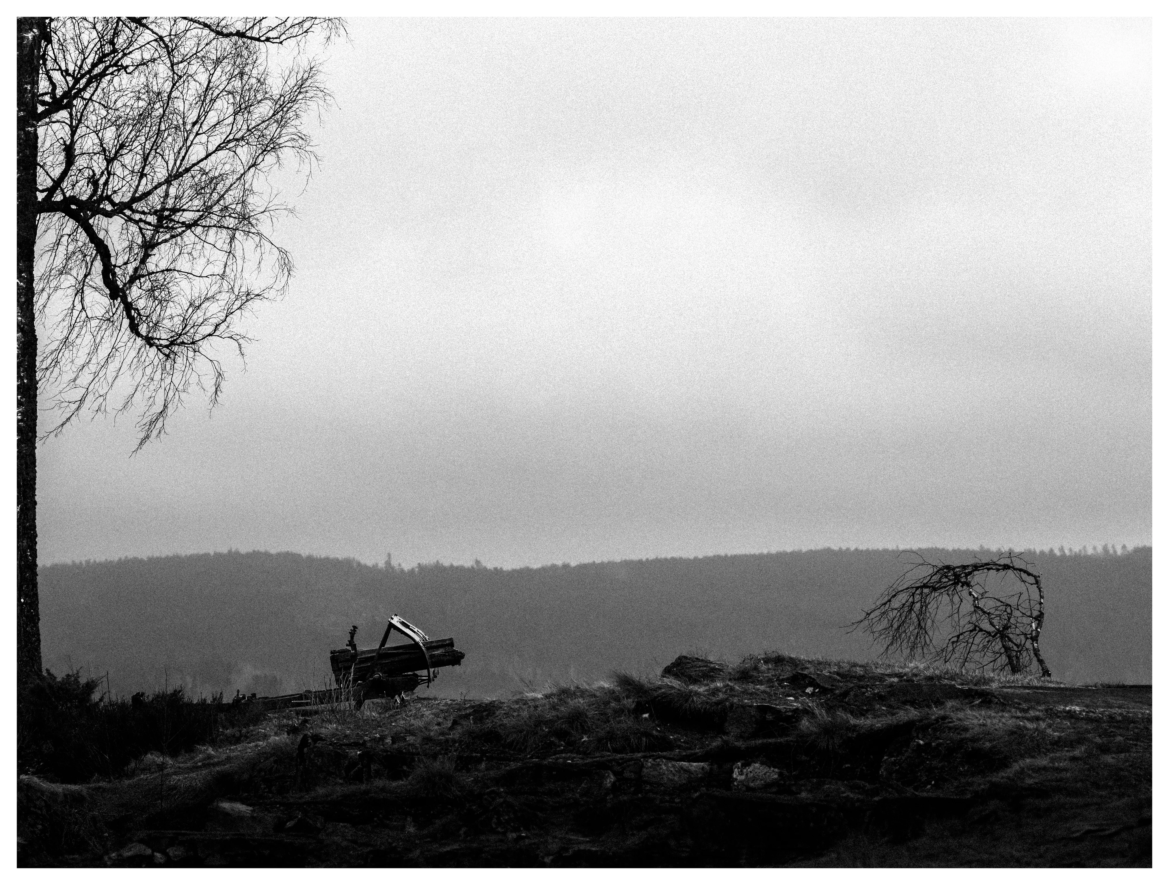 Black and white landscape with a cannon aimed at a lone windswept tree on a ridge under a cloudy sky.