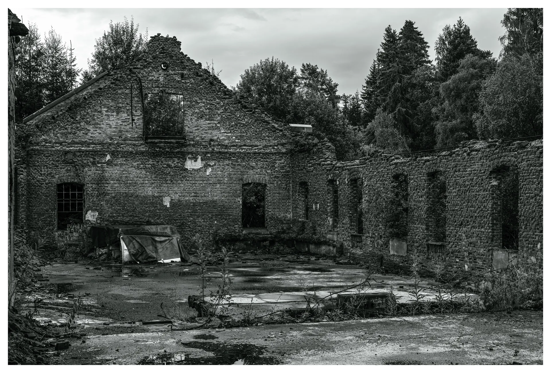 Power Plant, Mago C