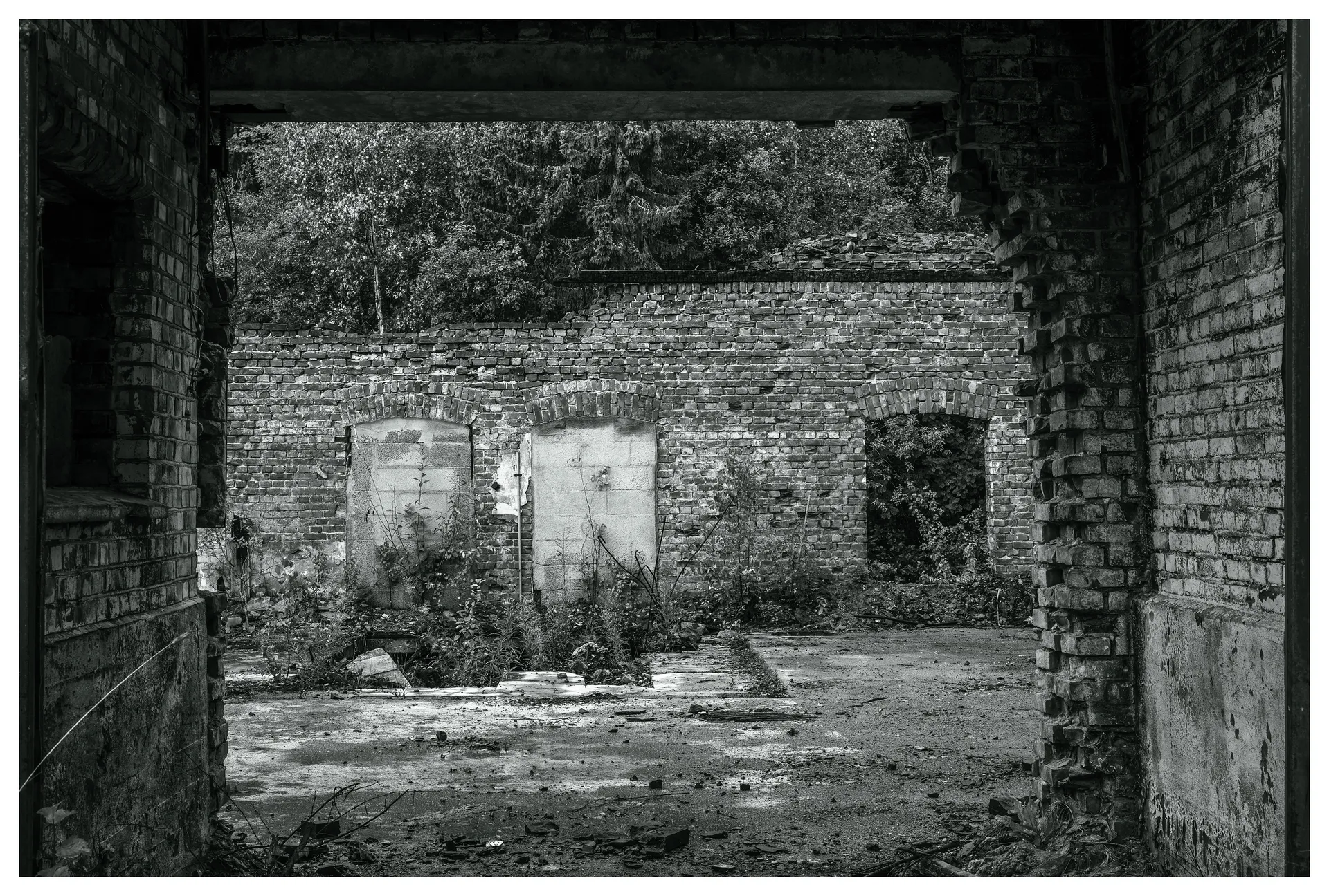 Power Plant, Mago C