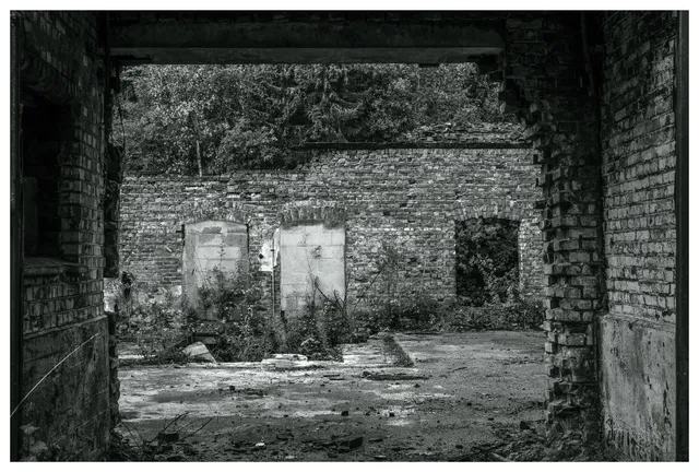 Power Plant, Mago C