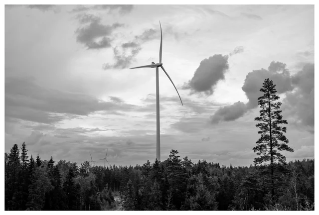 Black and white photo of a wind turbine above dense forest at the Marker wind farm in Norway, with dramatic clouds and soft atmospheric light.