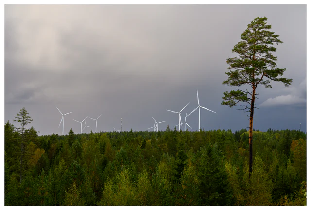 Color photo of wind turbines above dense forest at the Marker wind farm in Norway, with dramatic clouds and a single tall tree in the foreground.