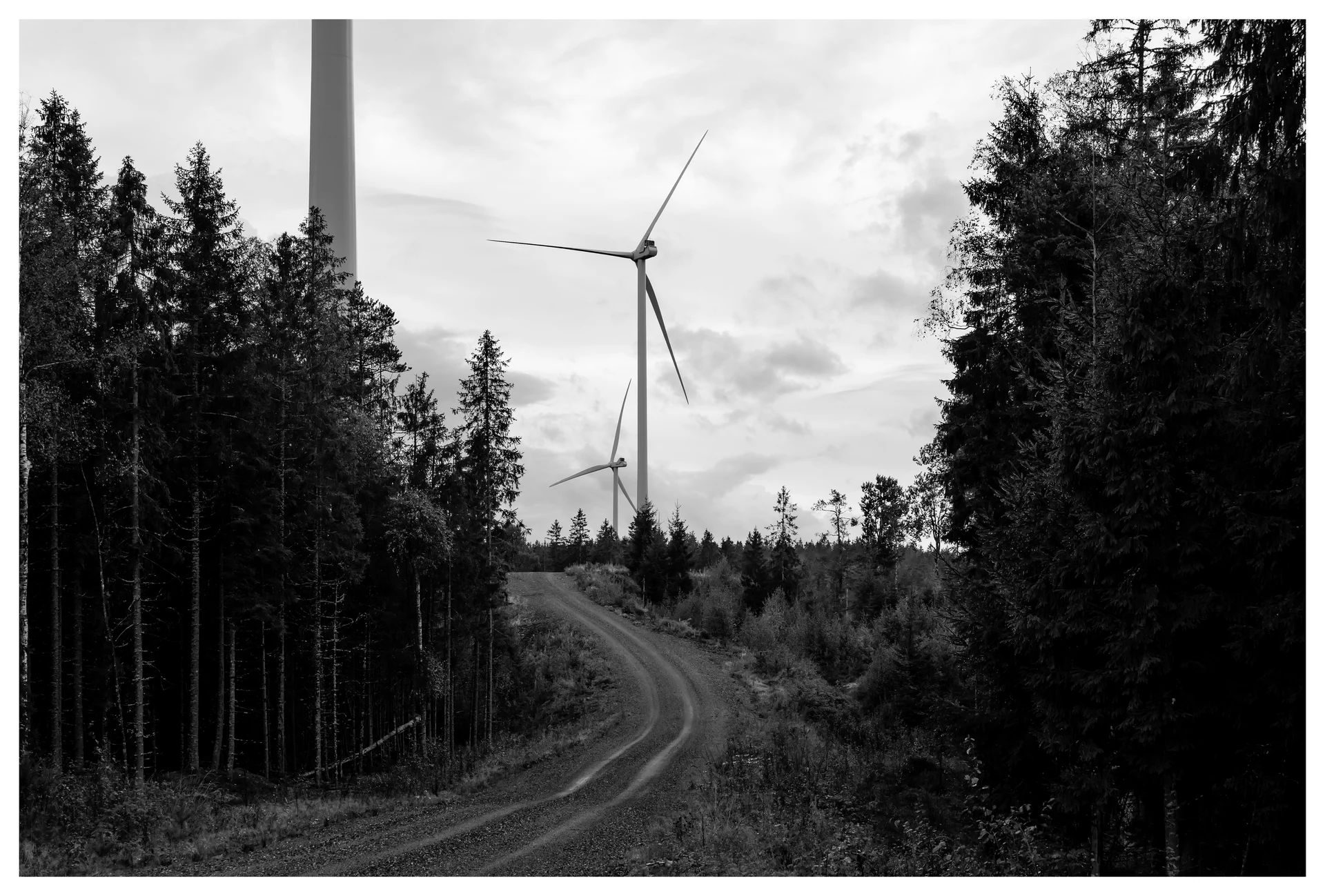Black and white photo of wind turbines above a gravel road in the Marker wind farm, Norway, surrounded by dense forest and cloudy sky.