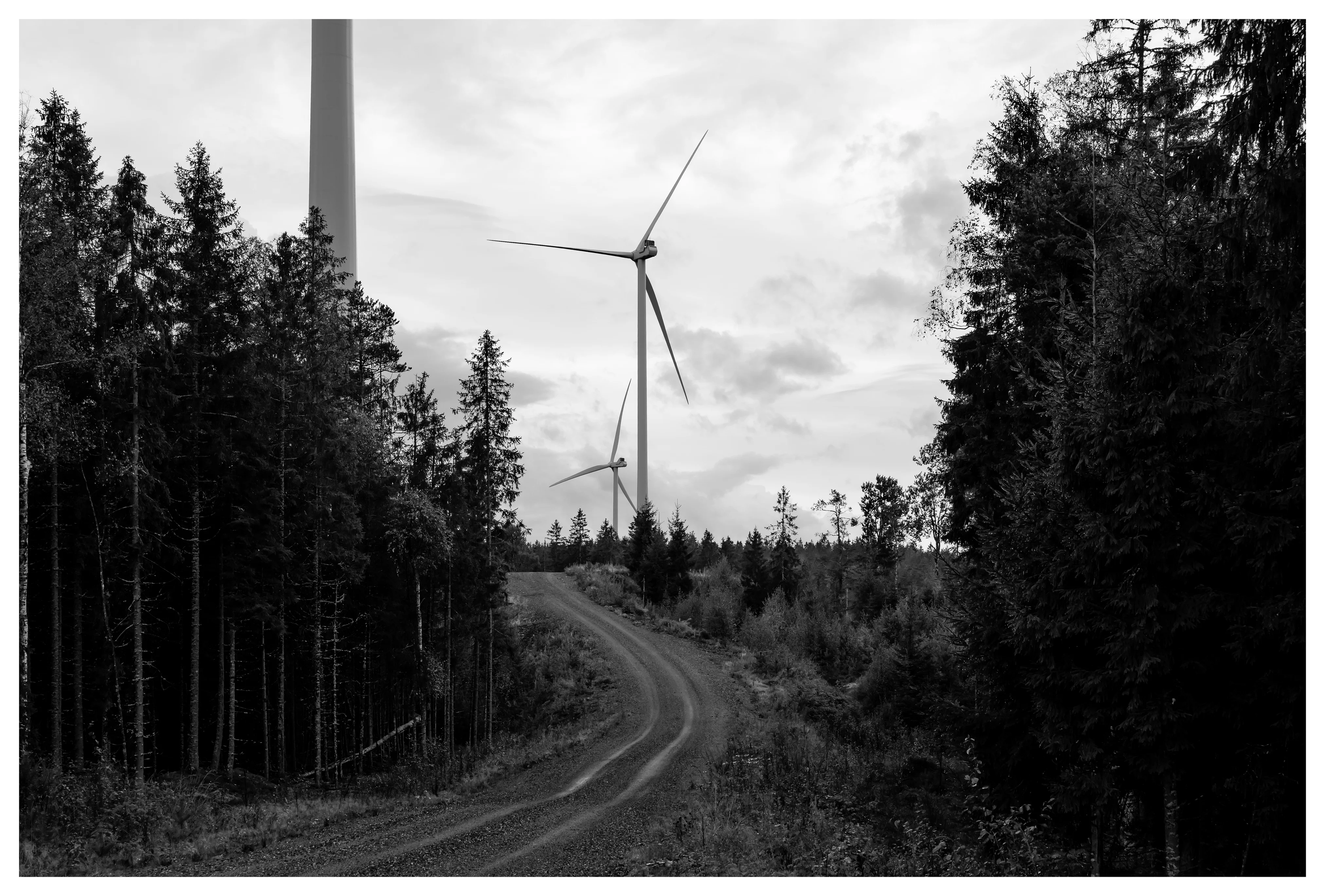 Black and white photo of wind turbines above a gravel road in the Marker wind farm, Norway, surrounded by dense forest and cloudy sky.