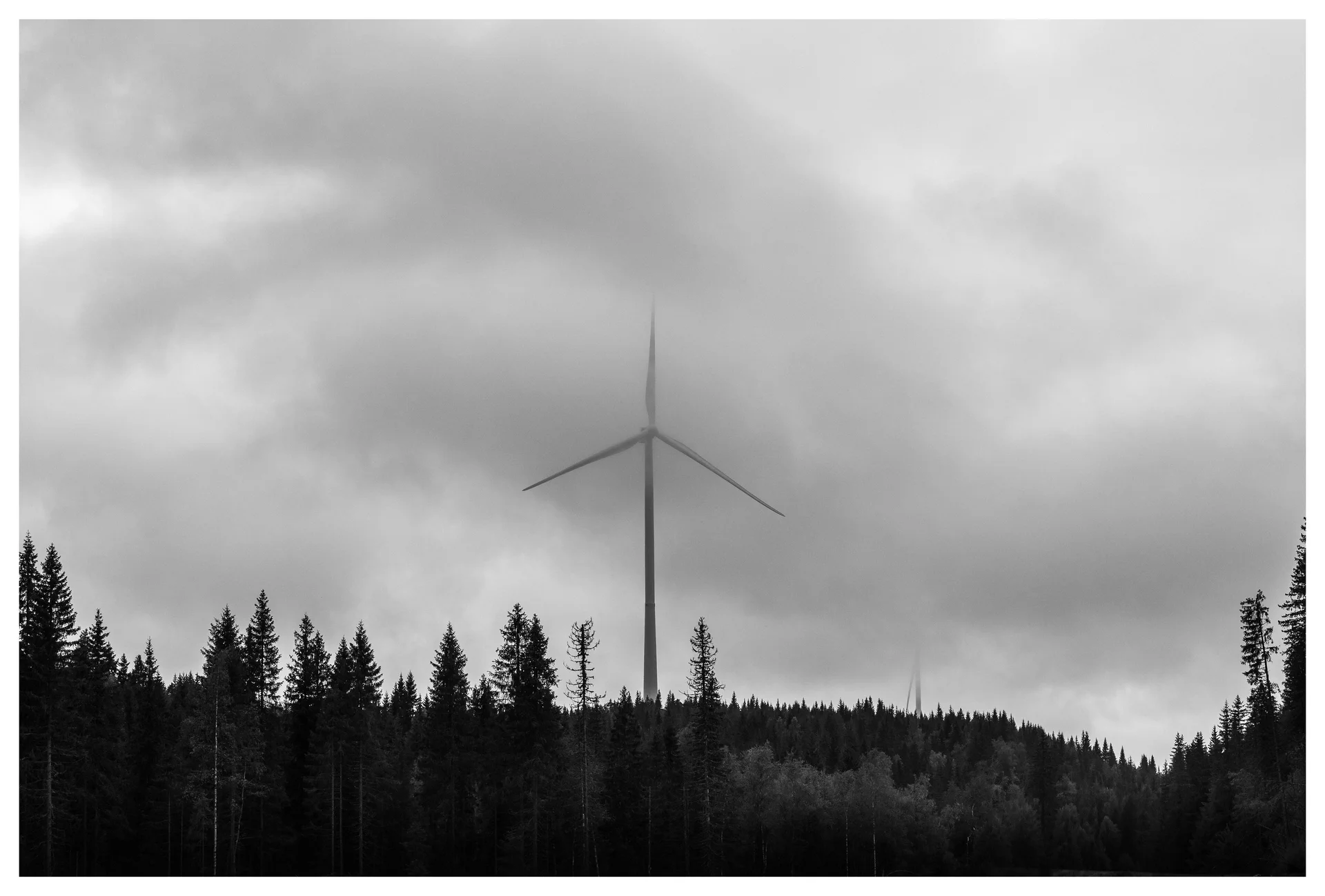 Black and white photo of a wind turbine rising above dense forest at Odal wind farm in Norway, partly hidden by low clouds and mist.