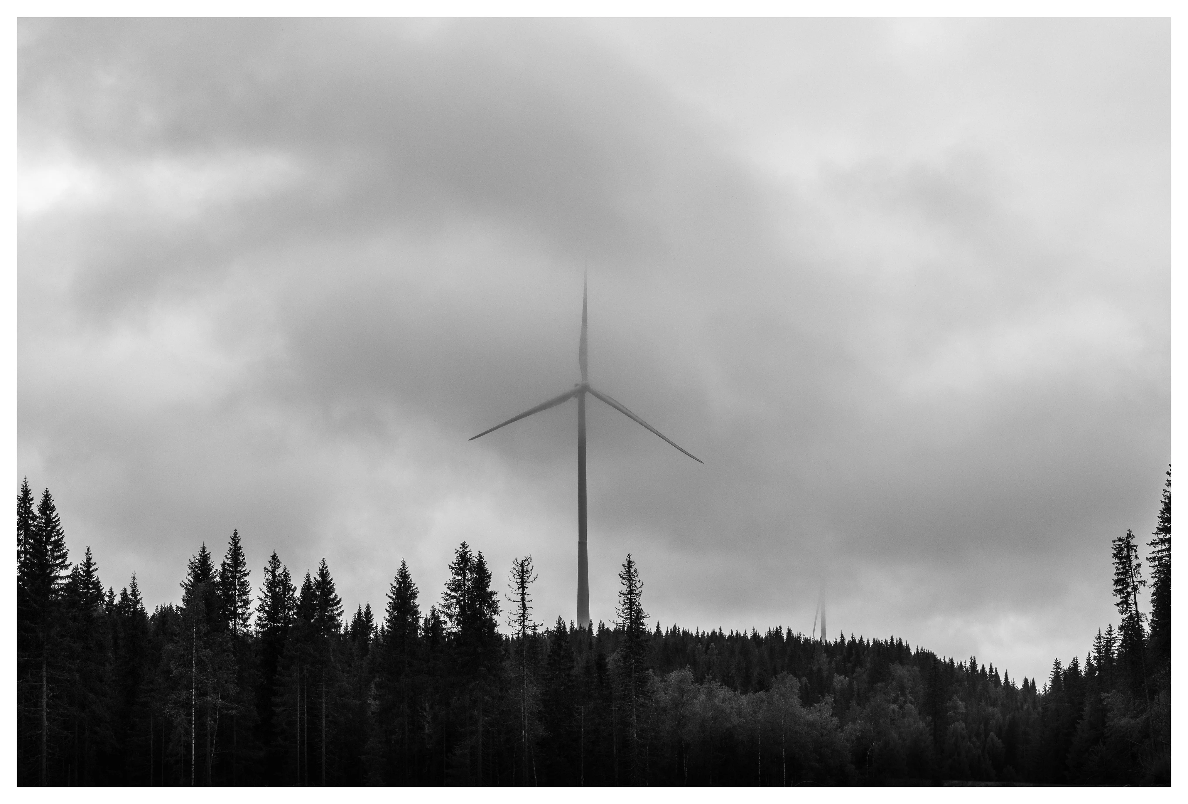 Black and white photo of a wind turbine rising above dense forest at Odal wind farm in Norway, partly hidden by low clouds and mist.