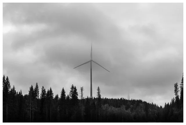 Black and white photo of a wind turbine rising above dense forest at Odal wind farm in Norway, partly hidden by low clouds and mist.