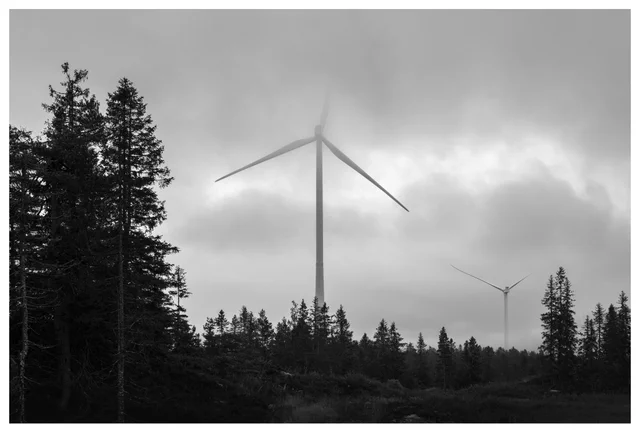 Black and white photo of tall wind turbines in low clouds at Odal wind farm in Norway, rising above dense forest under misty sky.