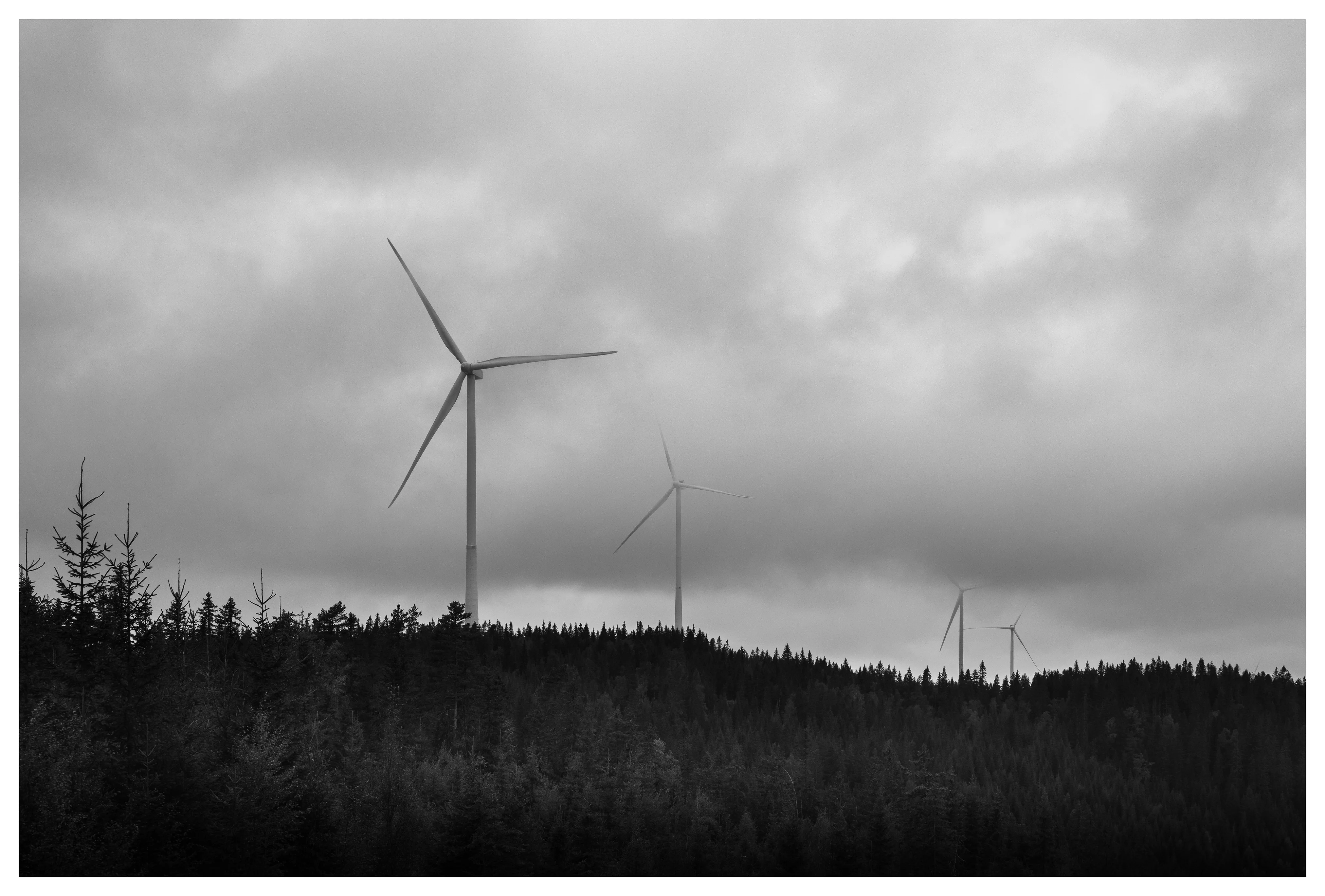 Black and white photo of wind turbines along a forested ridge at Odal wind farm in Norway, under heavy clouds and soft atmospheric light.