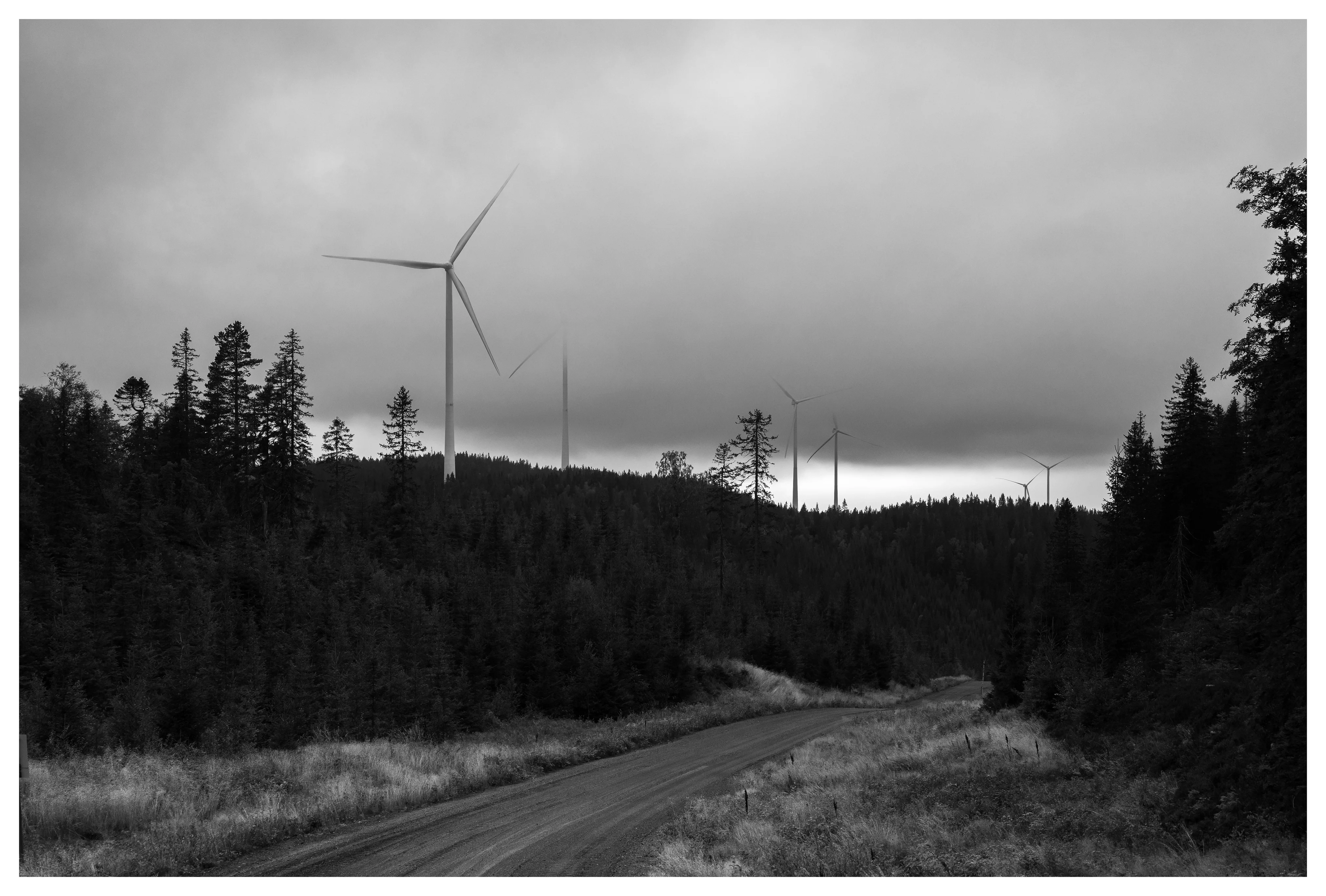 Black and white photo of wind turbines on misty forest hills at Odal wind farm in Norway, with a winding gravel road in the foreground.